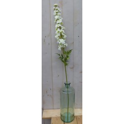 Kunst ridderspoor delphinium groot op steker wit