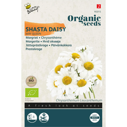 Zaden chrysanthemum may queen 0.25 gram