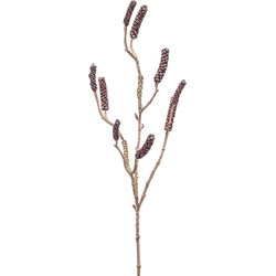 Callistemon branch burgundy 85 cm