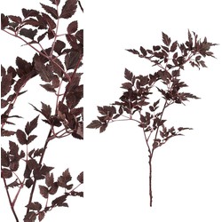PTMD Leaves Plant Cimicifuga Kunsttak - 55 x 33 x 82 cm - Paars