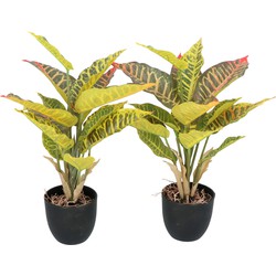 Kopu® 2 stuks Kunstplant Croton 35 cm - 14 bladeren - in zwarte pot