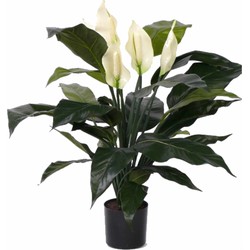 Bellatio flowers & plants Kunstplant Lepelplant - groen - 75 cm - Kunstplanten