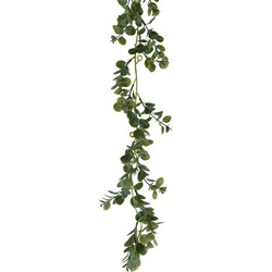 Everlands Planten slinger - eucalyptus - kunstplant - groen - 180 cm - Kunstplanten