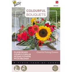 Colourful Bouquets, Cheerful Picking Flowers - Buzzy