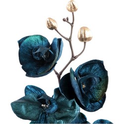 PTMD Orchidee Kunstbloem - 35 x 18 x 79 cm  - Kunststof - Blauw