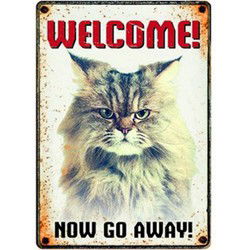 PLENTY GIFTS WAAKBORD BLIK GRUMPY CAT 15X21 CM