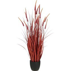 Mica Decorations Kunstplant Dogtail grass - 30x30x120 cm - PVC - Donker Rood