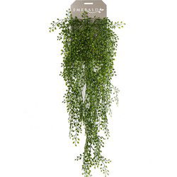 Hangplant op steker 7