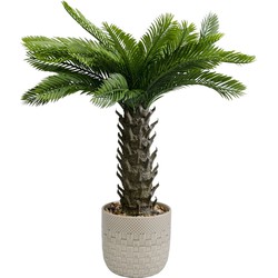 Kunstplant Cycas 70cm