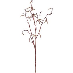 Bellatio flowers & plants Kunsttak - berkenkatjes - 66 cm - betula pendula - decoratie takken - Kunstbloemen