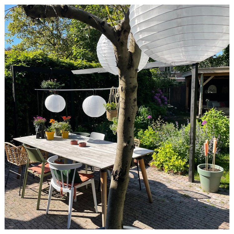 lampionnen-boom-tuin