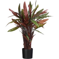 Mica Decorations Calathea Roseopicta Kunstplant - H84 x Ø40 cm - Rood