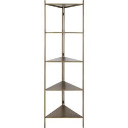 Light & Living - Kast DISPLAY - 58.5x41x200cm - Brons