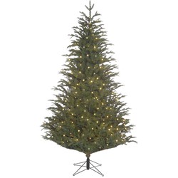 Black Box Trees Frasier Kunstkerstboom met LED Verlichting - H185 cm - Groen