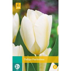 3 stuks - Tulipa Purissima 8 bollen