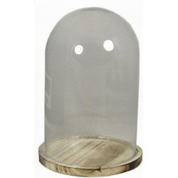 Floran Glazen woondecoratie stolp - plateau - 22 x 30 cm - glas/hout - Decoratieve stolpen