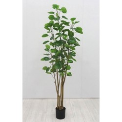Künstliche Pflanze Polyscias 160 cm - Buitengewoon de Boet