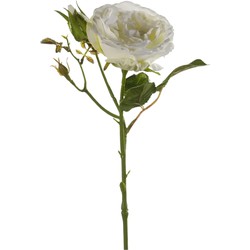 Emerald Kunstbloem roos Anne - creme wit - 37 cm - decoratie bloemen - Kunstbloemen