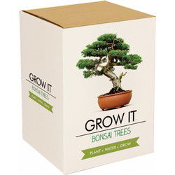 Gift Republic Bonsai Bomen