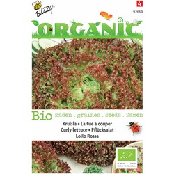 5 stuks - Organic Pluksla Lollo rossa (Skal 14275) - Buzzy