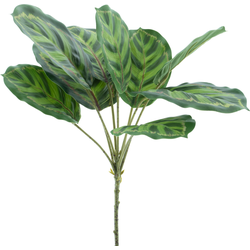 Maranta leaf spray Taco green 43 cm kunstbloem