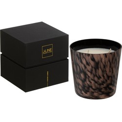 J-line - Geurkaars Noa Sandalwood Zwart/goud Small-50u - 12x12x11.5cm