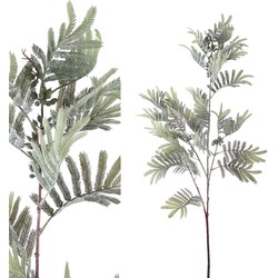 PTMD Leaves Plant Mimosablad Kunsttak - 70 x 40 x 125 cm - Groen