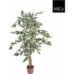 Mica Decorations ficus hawaii - 105x60 groen bont in plastic pot