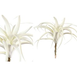 PTMD Tillandsia Blad Kunsttak - 30 x 30 x 29 cm - Wit