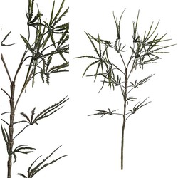 PTMD Twig Plant Pauwen Kunsttak - 56 x 38 x 100 cm - Groen