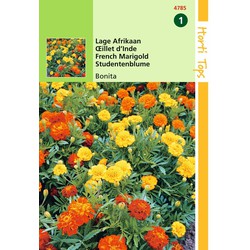 2 stuks - Tagetes patula nana Bonita dubbelbl. gemengd