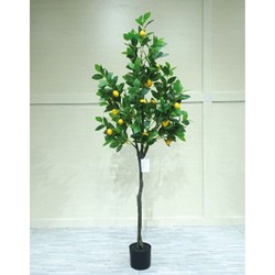 Kunstplant Citroenplant 160 cm - Buitengewoon de Boet