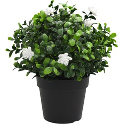 Kunstplant Pumila in pot UV