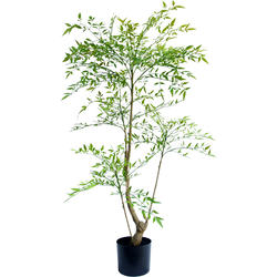 Greenmoods Ruscus - Nep plant - 1 Stuk - 120cm - Groen-