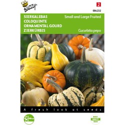 2 stuks - Cucurbita Sierkalebas Klein en Groot Gem.