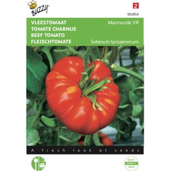 2 stuks - Tomaten Marmande Vleestomaat