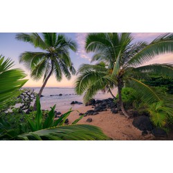 Sanders & Sanders fotobehang tropisch landschap groen en blauw - 450 x 280 cm - 612697