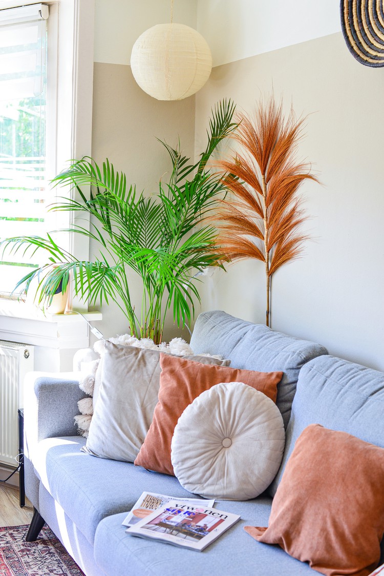 grote palm plant interieur