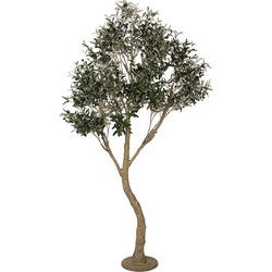 Clayre & Eef Kunst Olijfboom Groen Kunststof