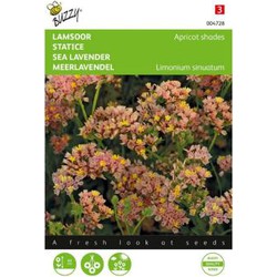 Zaden limonium lamsoor apricot shades 0.2 gram