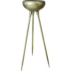 PTMD Genesis Brass Metal Planter 3 Feet Round High L