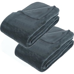 2x Stuks grote Fleece deken/fleeceplaid blauwgrijs 180 x 230 cm polyester - Plaids