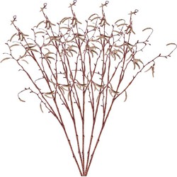 Bellatio flowers & plants Kunsttakken - 5x - berkenkatjes - 66 cm - betula pendula - decoratie takken - Kunstplanten