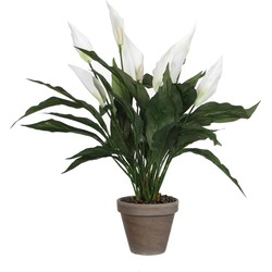 Mica Decorations Kunstplant - spathiphyllum lepelplant - wit - 50 cm - Kunstplanten