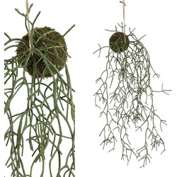 PTMD Mos Bal Kunstplant - 55 x 15 x 15 cm - Hangend - Groen