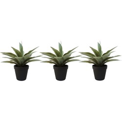 Set van 3x stuks grijze/groene kunstplanten agave succulent plant in pot - Kunstplanten