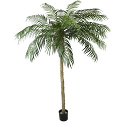 Hoyz Greenery - Kunstpalm Phoenix De Luxe 250 cm