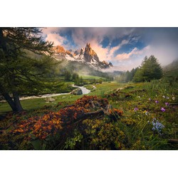 Komar fotobehang bosrijk landschap groen - 368 x 254 cm - 610925
