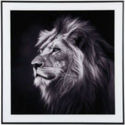 Wanddecoratie Lion - Zwart - 2x50x50cm