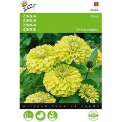 Zaden zinnia envy 1 gram